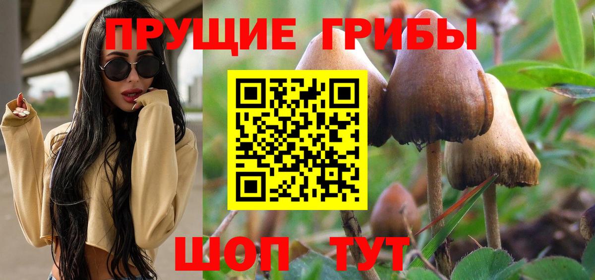 Галлюциногенные грибы GOLDEN TEACHER Видное