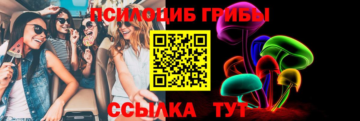 Видное  Псилоцибиновые грибы Magic Shrooms  купить наркотики сайты  Псилоцибиновые грибы Psilocybe  Вход с VPN 